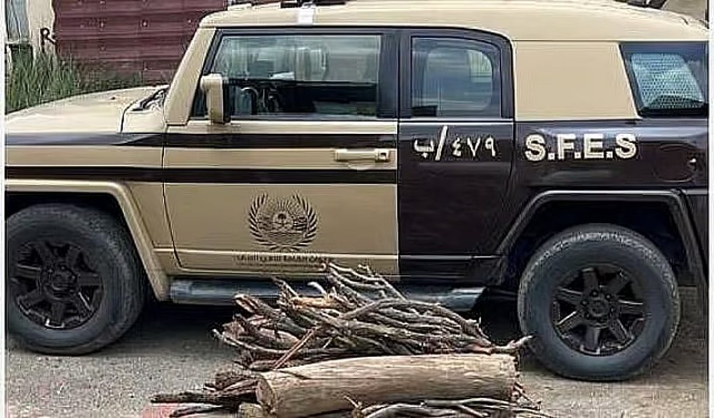 «الأمن البيئي» يضبط مواطنًا لنقله حطبًا محليًا في منطقة الرياض ajel2F2025 12 042F3qtc7kde2FD8ADD8B7D8A8D98BD8A7 D985D8ADD984D98AD98BD8A7.a