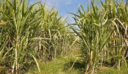 ajel2F2025 12 052F9vklitrj2FCapture