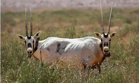 ajel2F2025 12 072Fdl3ygmut2FD981D8B7D8B1D98AD8A9.avif