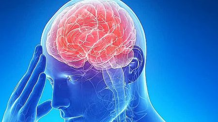 ajel2F2025 12 082Fiet2hl0k2Fajel2024 0102808382 386c 4416 b90f 6f00cd05a25bajel20220775f3fbc7a38c