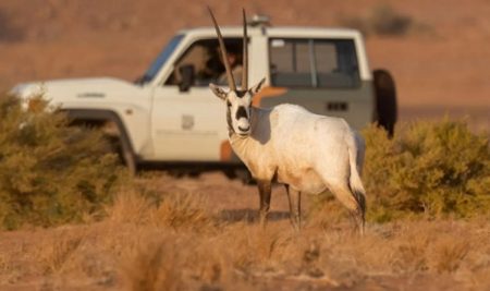 ajel2F2025 12 092F0atauutj2FCapture