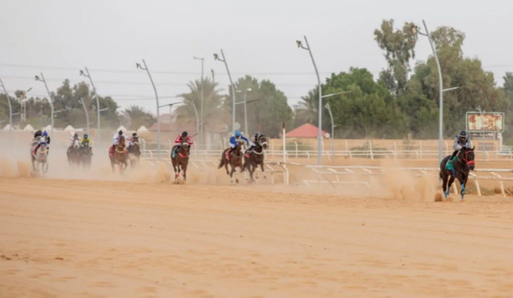 انطلاق موسم سباقات الفروسية بالجوف.. وتتويج 20 فائزًا ajel2F2025 12 092Fq2zvitob2FCapture