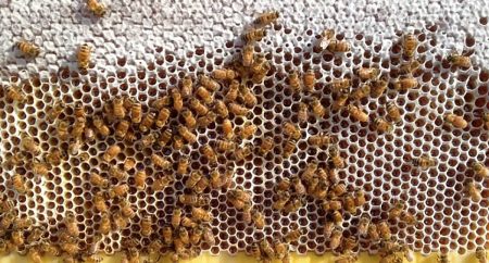 ajel2F2025 12 102F4zqenbko2FD986D8ADD984 D986D8ADD984 D986D8ADD984.avif