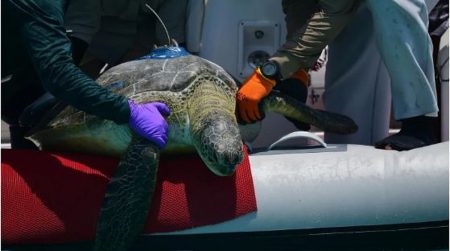 ajel2F2025 12 102Fd1mjjk1v2FCapture