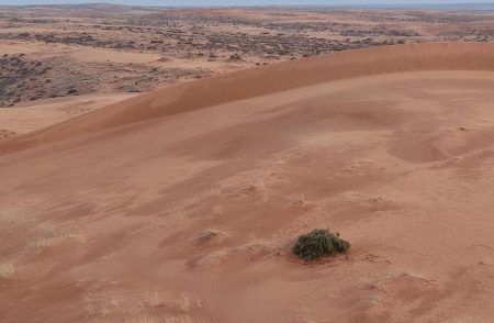 ajel2F2025 12 122F3dmyru8b2FIMG20251212174042