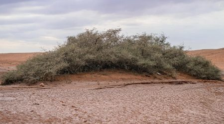 ajel2F2025 12 132Fske2v3sj2FCapture