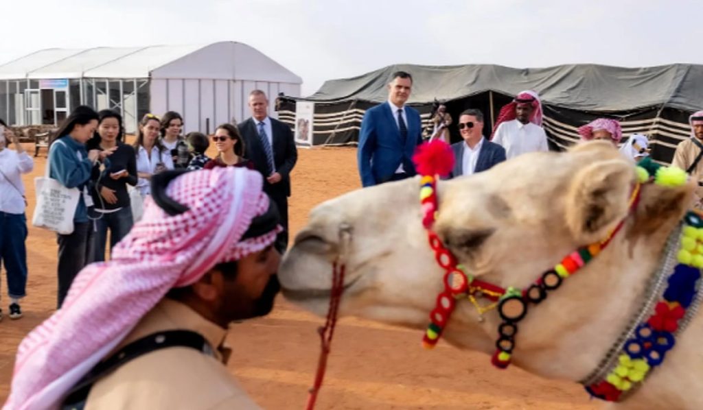 أكثر من 100 سائح يوثقون الحضور الدولي لمنافسات مهرجان الملك عبدالعزيز للإبل ajel2F2025 12 142F56h25ip32FCapture