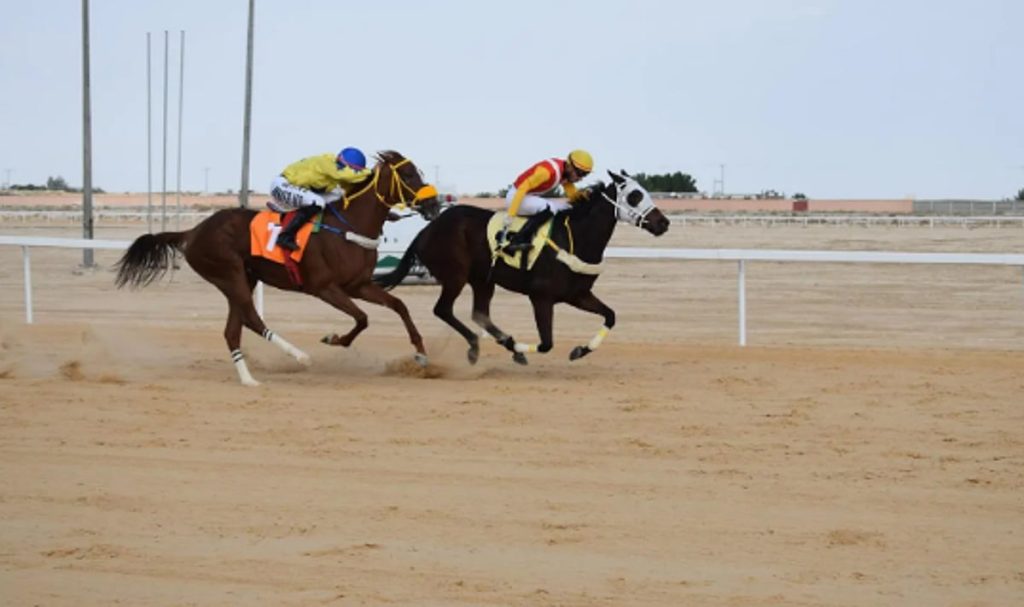 ميدان الفروسية بالأحساء يعلن نتائج سباقه السابع ajel2F2025 12 142Fk5776j862FCapture