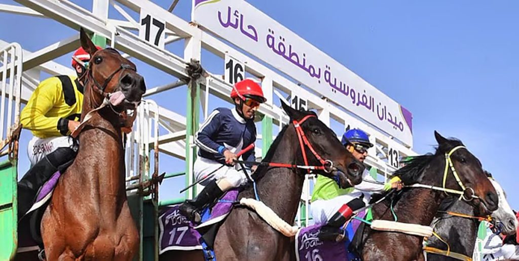 ajel2F2025 12 162F0eiv4jjh2FD985D98AD8AFD8A7D986 D981D8B1D988D8B3D98AD8A9