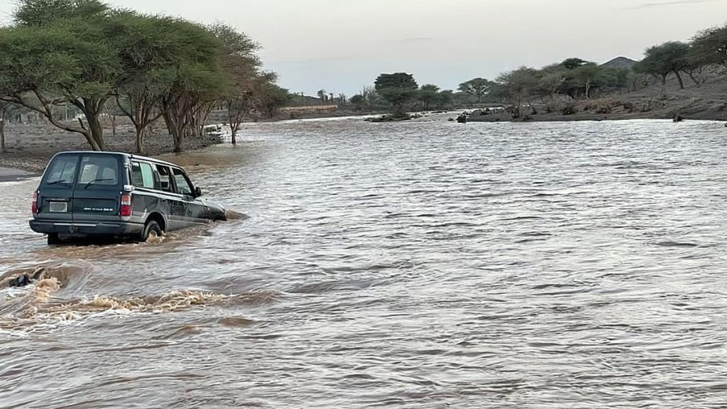 المرور يوضح مخاطر عبور الأودية والشعاب أثناء جريانها ajel2F2025 12 162Fdggw5lv12Fajel2022 1117c4c7a5 bde4 45e9 aee2 32cdc750c8a226130.avif