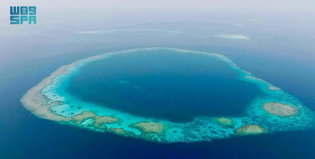 «الحياة الفطرية» يطوّر منظومة التشغيل والحوكمة في محميتي الثقوب الزرقاء ورأس حاطبة ajel2F2025 12 162Frslpgde92F4wpzfxpFJ02hKjl2LZchxYTuooOI8RIWlhYkBzAx.webp