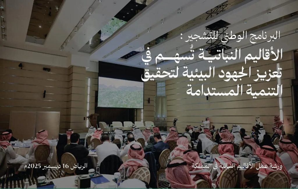 ajel2F2025 12 172Fy0a9upr42FScreenshot 2025 12 17 104937