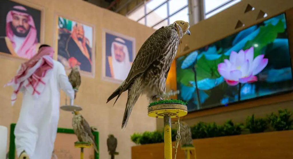 ajel2F2025 12 192Fuwrl9gro2FIMG20251219175551