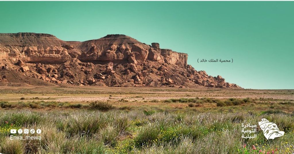 ajel2F2025 12 212F5477sq5z2FScreenshot 2025 12 21 200945