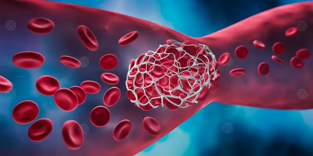 ajel2F2025 12 212Fl12suac52Fajel2025 11 048nutaeqjD8AFD985D988D98A.avif