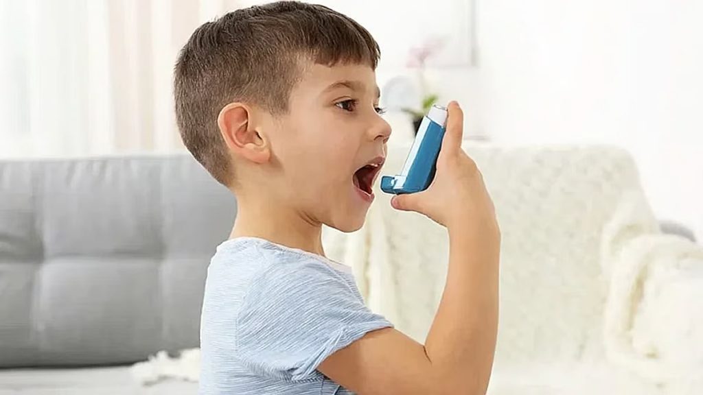 ajel2F2025 12 212Fnsyc99xf2Fajel2023 115f827922 b48d 498d a07e c32bf580a96cajel2022098e7fb81681d5