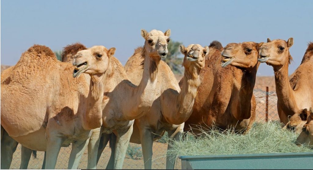 ajel2F2025 12 222Ffe5wr9732FScreenshot 2025 12 22 130339