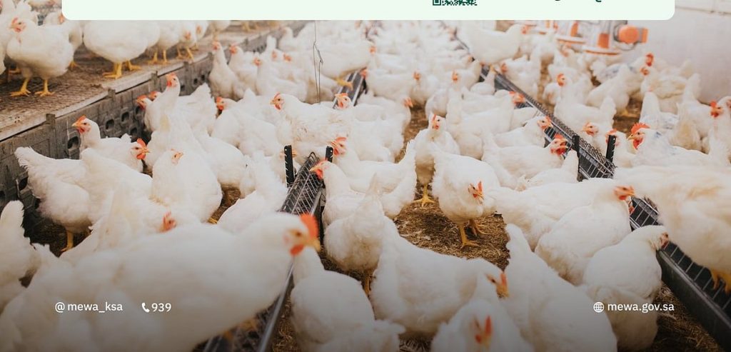 «البيئة» تُطلق خدمة «إذن تأجير مشروع حيواني».. خطوات وشروط التقديم ajel2F2025 12 222Ft6btsf5f2FG8wlalhXkAAbth