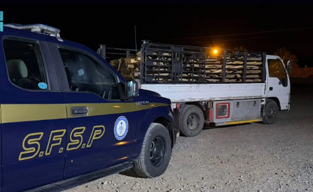 ajel2F2025 12 232Fy8gekxf72FCapture