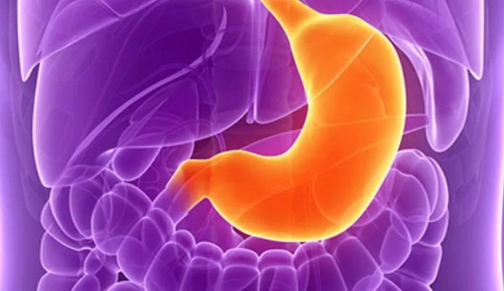 ajel2F2025 12 232Fyclgk1j62F444445555