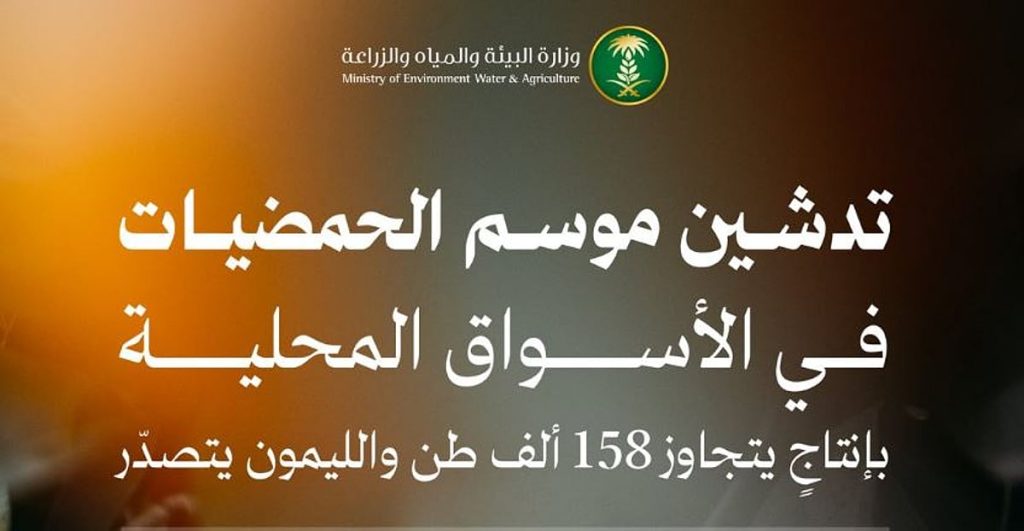 ajel2F2025 12 242Fvi7t04s72FCapture