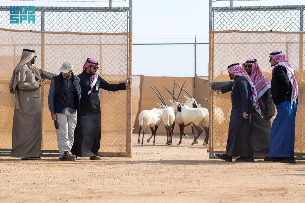 ajel2F2025 12 252Frjlho0i22F3a270092 fd5c 433e b479 3ae9f4bc175c