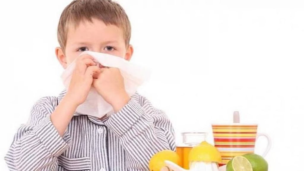 ajel2F2025 12 252Fx3te4yqk2Fajel2022 10f9128896 39f8 4e8a 8eb2 929b9f64e56811.avif