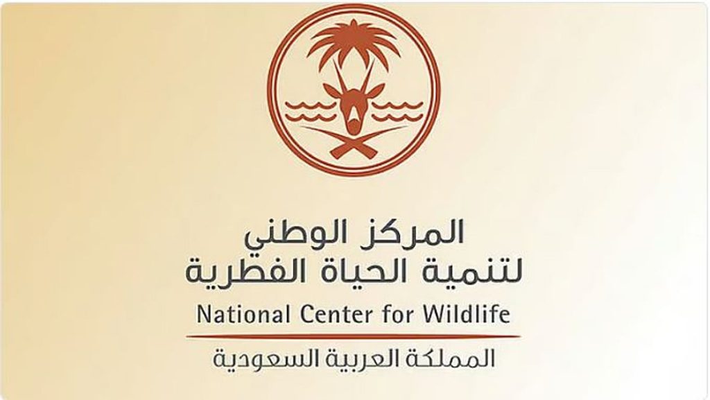 ajel2F2025 12 272F2fxnp85c2FCapture