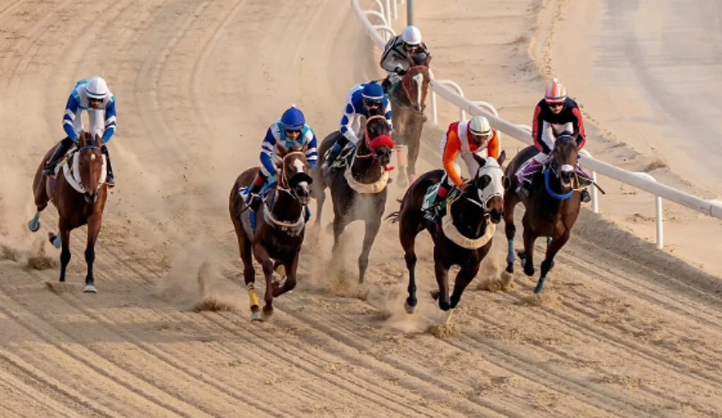 ajel2F2025 12 272Fg1bfde5k2FCapture