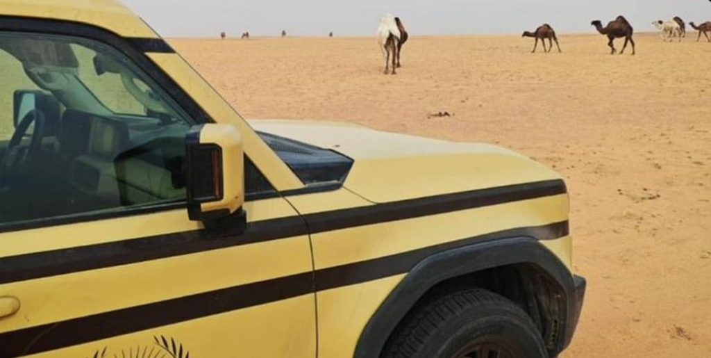 ajel2F2025 12 272Fncyrryex2FCapture