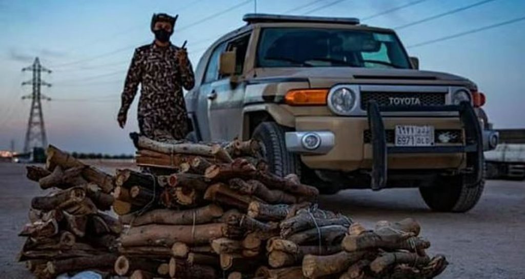 ajel2F2025 12 282Fp3qe358v2FCapture