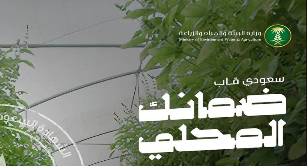 ajel2F2025 12 292F7vxx3o6u2FScreenshot 2025 12 29 101155