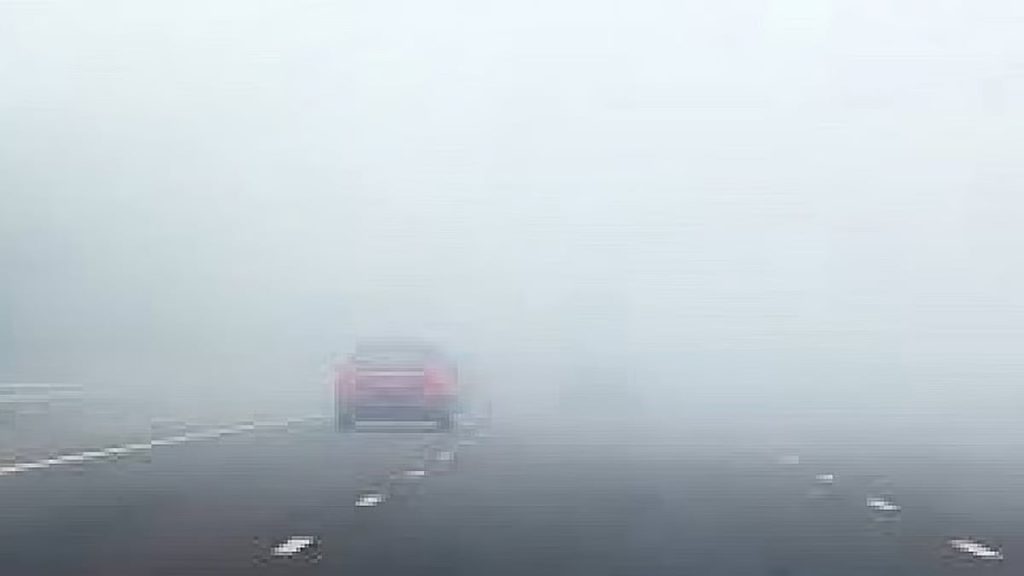 ajel2F2025 12 292Fcc66x3lr2Fajel2022 067b42e6d5 59fa 48c1 9834 ba03d2f317f71.avif