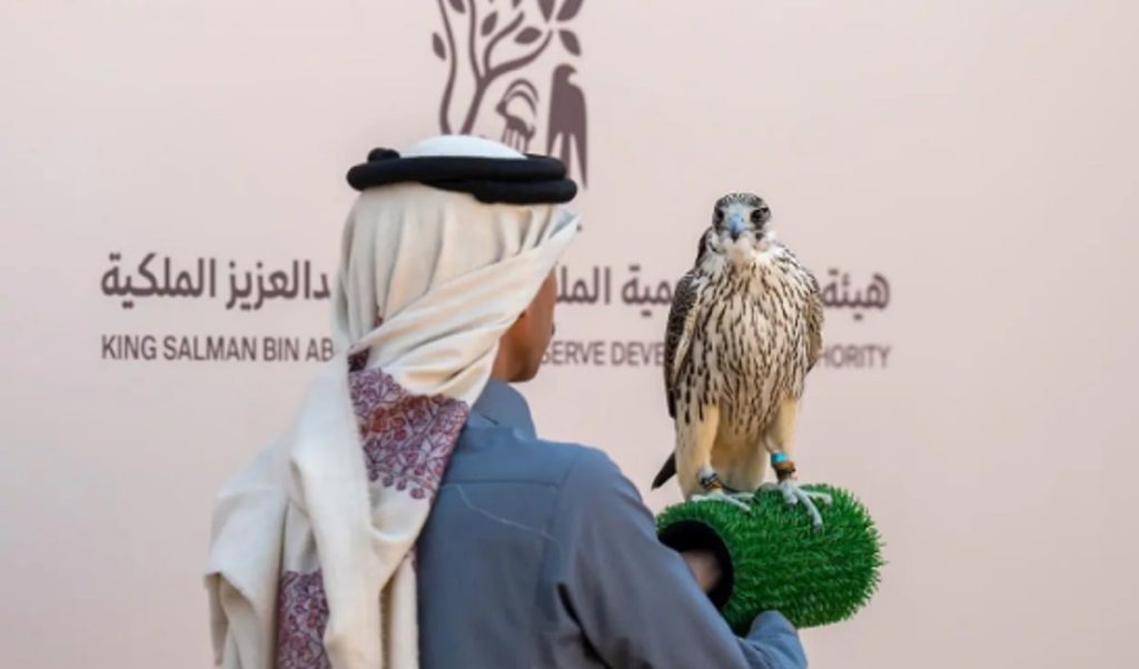 ajel2F2025 12 302Fe1ygsxd42FCapture