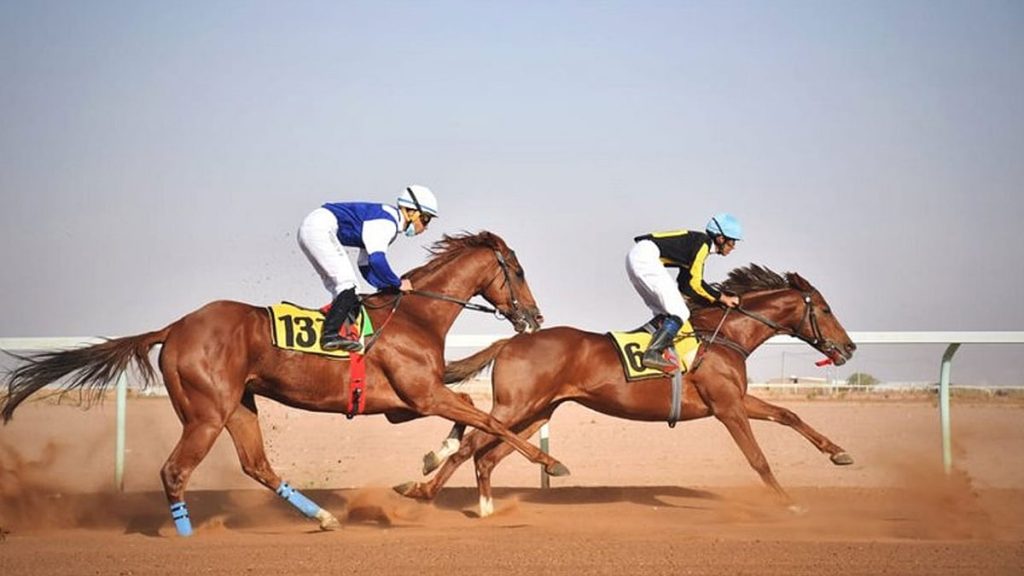 ajel2Fimport2Fuploads2Fmaterial file2F5ff452ac56463273213d346c2F5ff4526481218