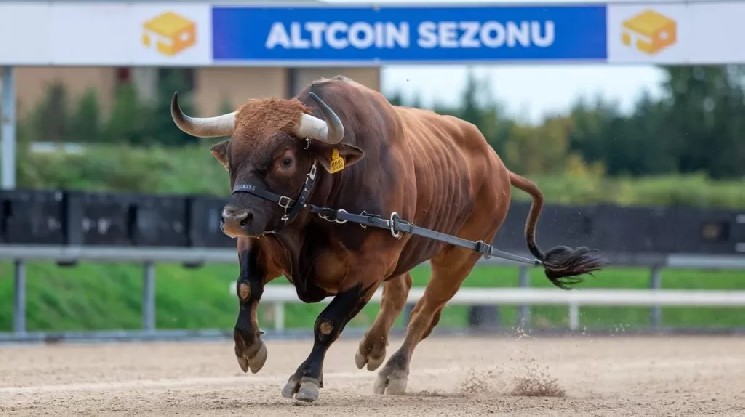 محلل ذو خبرة يكشف توقعات 2026! “لن يكون مثل السابق!” bfc97b633e4253ebf32323e8fc9d4b86cc3b6fa1