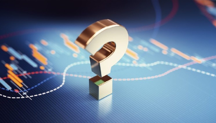 ما هي العملة المشفرة التي تحتوي على المحافظ الأكثر نشاطًا؟ لقد انتهت القائمة، والبيتكوين ليست رقم واحد d5fc38b8893619b130f81b7200121a44b45b4e5e