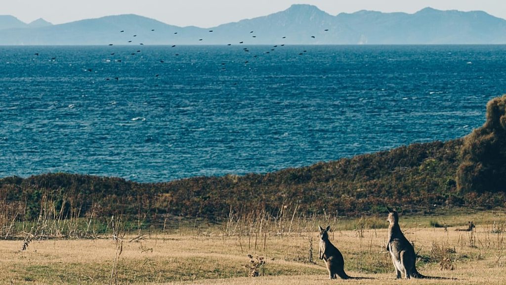 1200x675 cmsv2 395fdecf 729c 5a64 b6a0 1159afe2ad5b 9633036