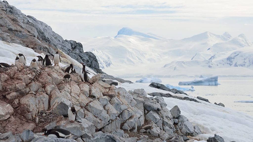 1200x675 cmsv2 68c0c693 97f0 5fc6 81c7 99293bc7363e 9617585