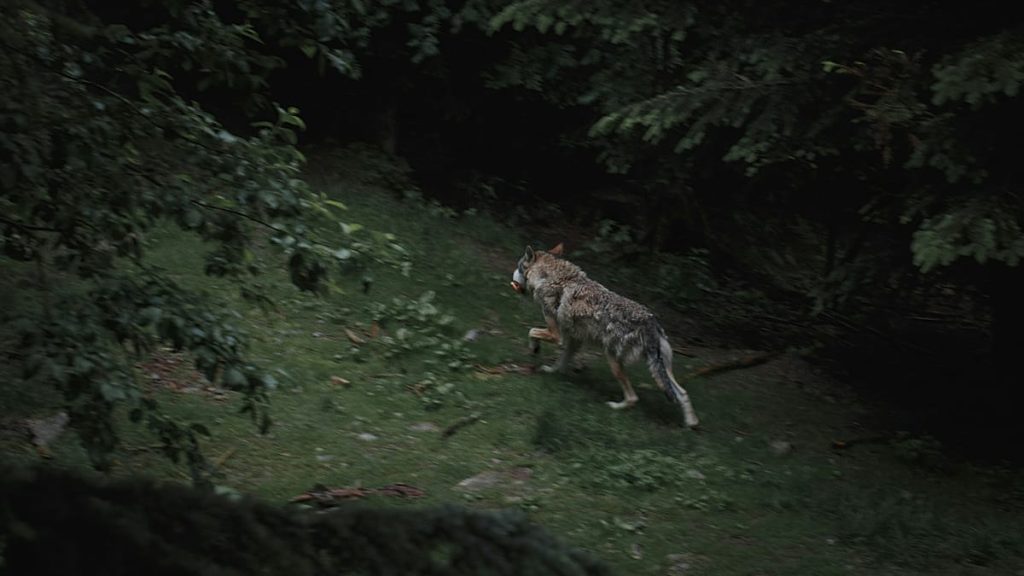 1200x675 cmsv2 b7ebc3e2 847c 51f7 b779 2df4955f0412 9621003