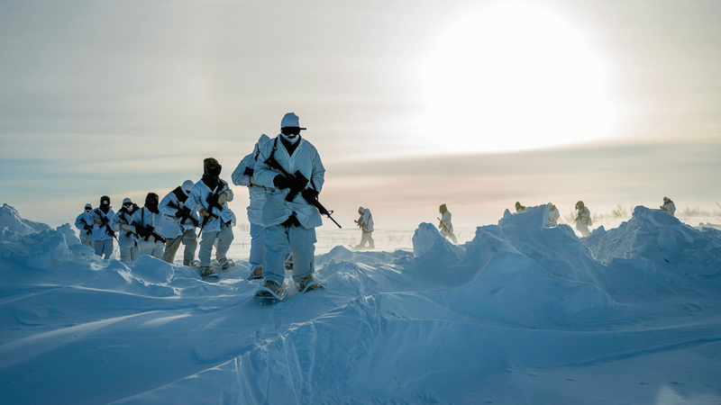 كندا تدرس أسوأ السيناريوهات.. وتستعد عسكرياً لمواجهة التهديدات 1768180368 image