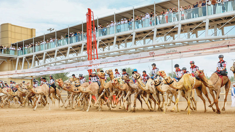 على ظهر «جمر».. محمد إبراهيم يفوز بماراثون اليوم الوطني للهجن 1768352442 image