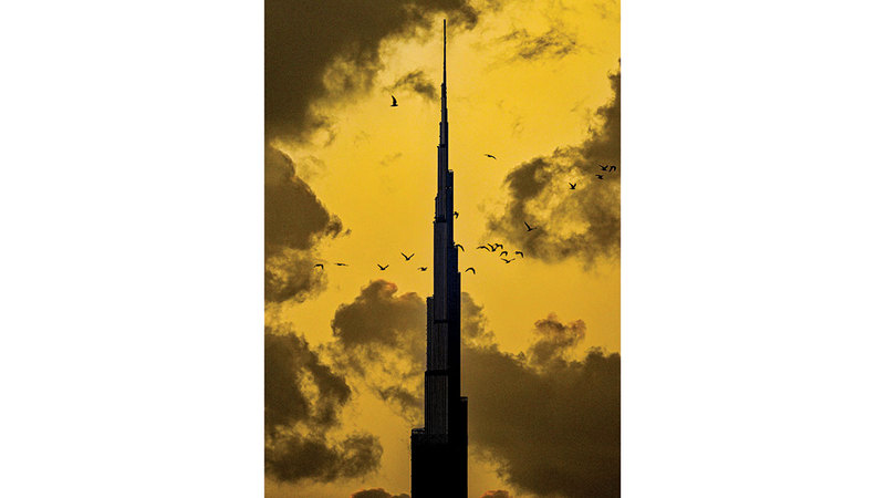 برج خليفة.. وأسراب الأعالي 1768357616 image