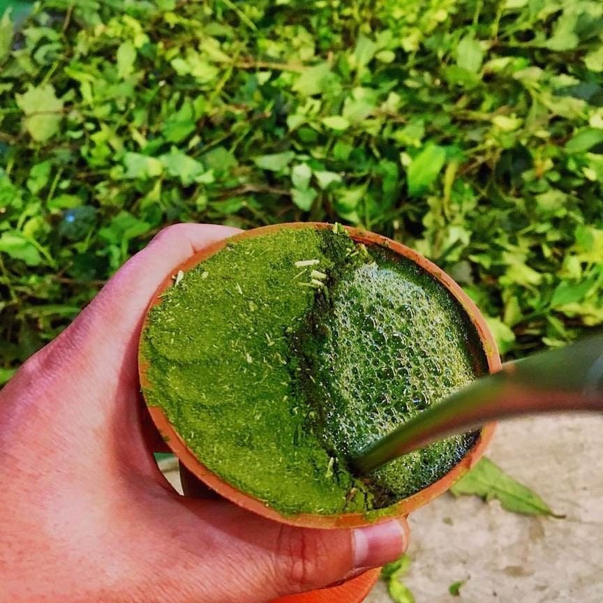 سحب “المتّة “من أسواق ألمانيا 1769768653 image