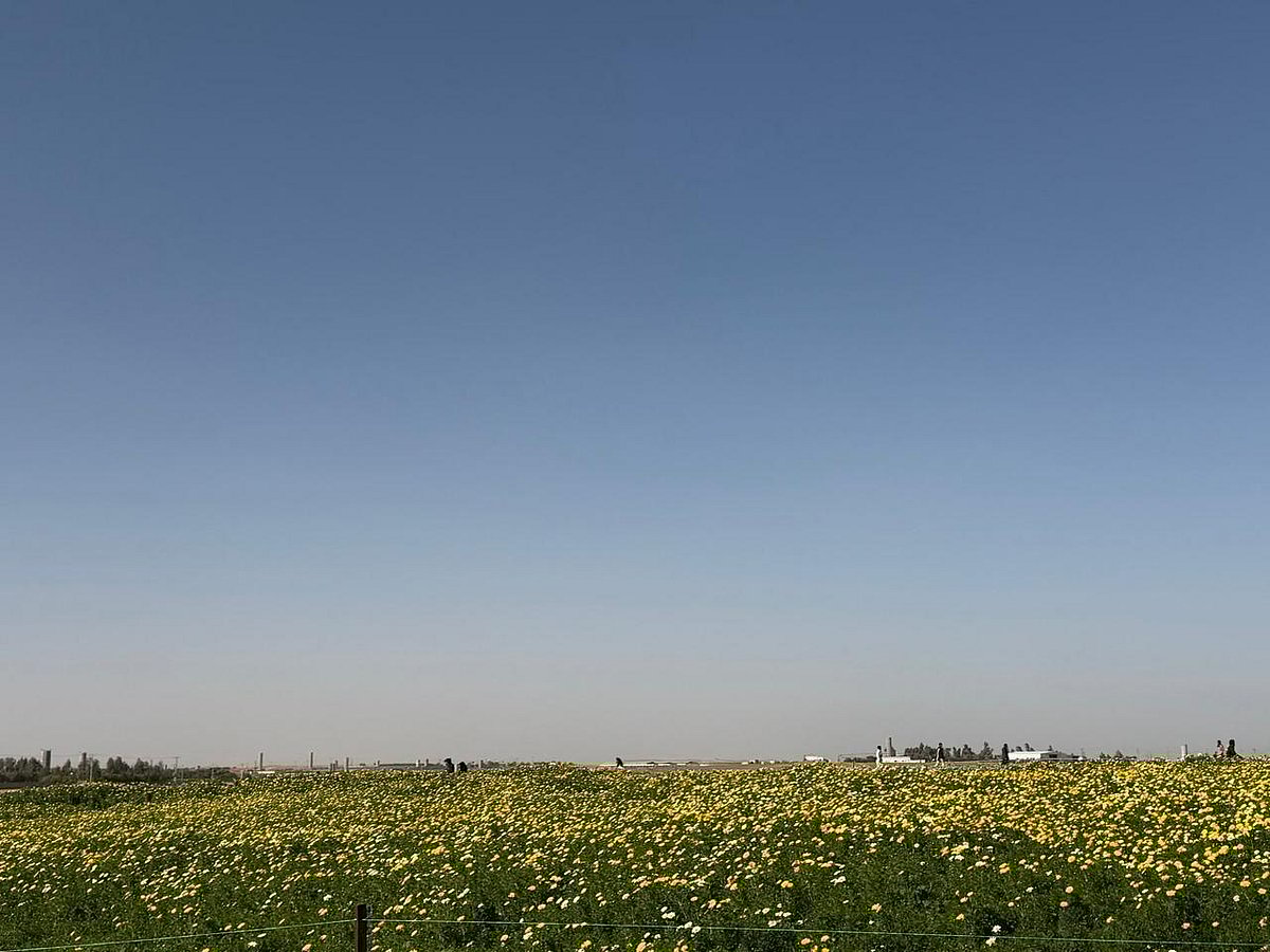 1b8e9fbb d7f5 4697 9adc f9a8dbd76803