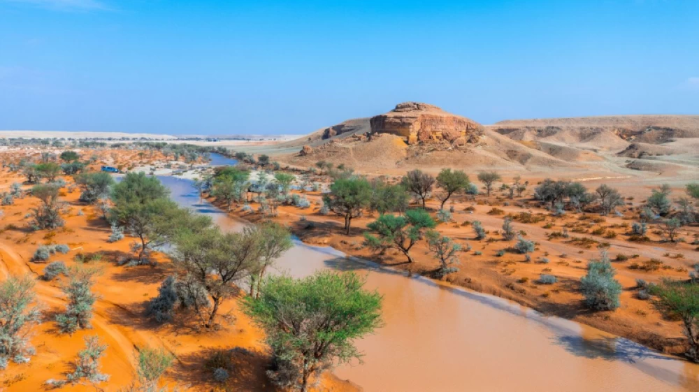 منع 16 متناً من الإبل من الرعي بمحمية الملك عبدالعزيز – أخبار السعودية 2641985.webp