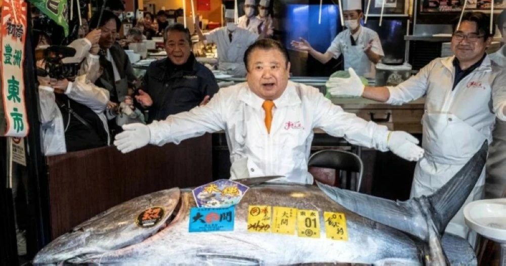 3 ملايين دولار مقابل سمكة واحدة! – أخبار السعودية 2642377.webp