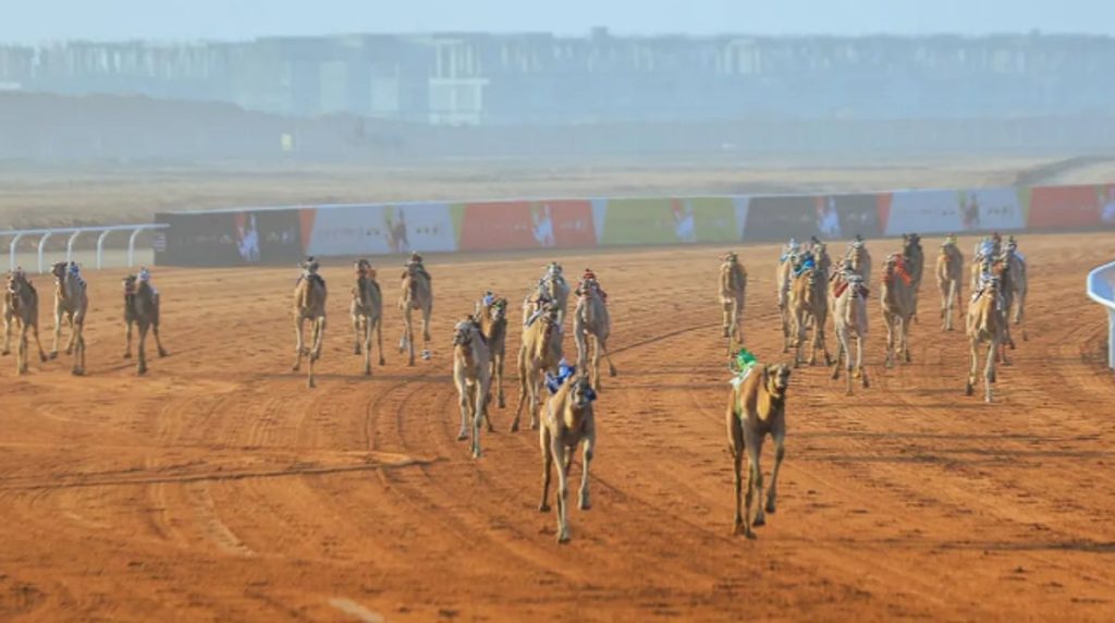 ajel2F2024 022Ff77e703b a881 4d50 b96c f9e988f87c362FCapture