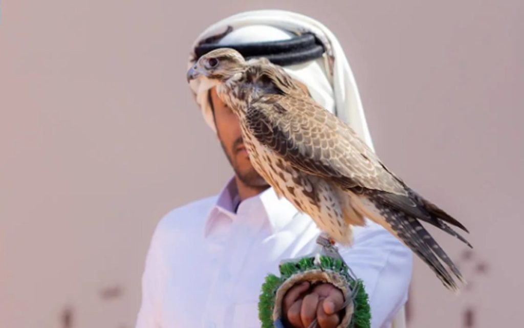 ajel2F2025 12 312F6smgdbbo2FCapture