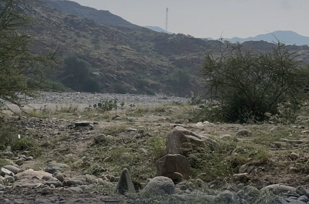 ajel2F2026 01 012Fpx72k37i2FD8A7D984D985D986D8A7D8B7D982 D8A7D984D8A8D8B1D